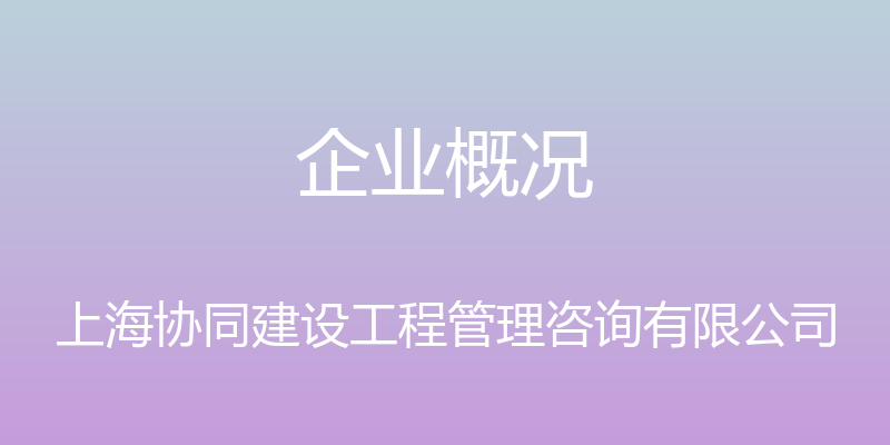 企业概况 - 上海协同建设工程管理咨询有限公司